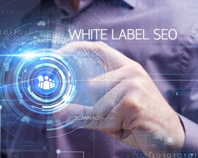 Effective SEO Services for Doctors